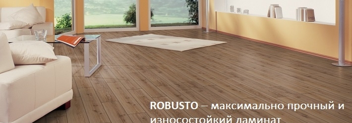 Robusto
