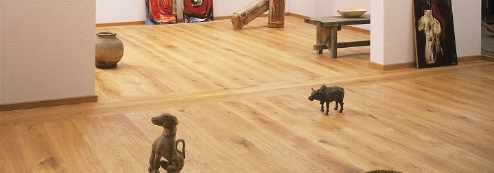 Ламинат My Floor - это качественное напольное покрытие
от известной европейской компании
Kronotex, которые прослужат в вашем доме много лет. Этим полам не
требуются специального ухода, их можно уложить самостоятельно, быстро
отремонтировать при необходимости, демонтировать и постелить в другом
помещении. Ламинат My Floor